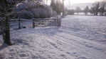 DSC_0006.JPG