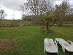 IMG_20250323_114317.jpg