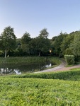IMG_3374.jpeg