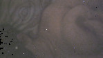 YouCut_20220415_155942711_1.gif