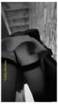 bob-img-01225.png