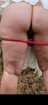 IMG_0115.png