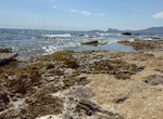 IMG_7331.jpeg