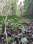 IMG_20200416_160556200.jpg