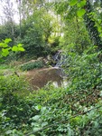 20250923_110711.jpg
