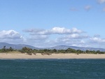 IMG_4925.jpeg
