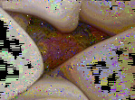 bellechatte_ronde.gif
