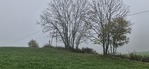 20241108_143942.jpg