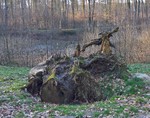 WP_20180218_16_56_06_Rich2.jpg