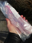 IMG_20211118_131521.jpg