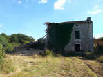 DSCF0284.jpg