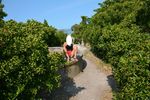 iledere5_1.jpg