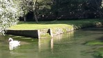20210718_182449.jpg