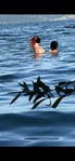 IMG_4368.jpeg