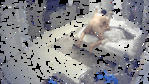 38B32C1D-1186-4D82-8FA8-30A84F3E515B.gif