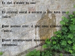 Pipi..au..Mur...jpg
