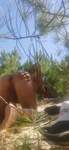received_1486129001782980.jpeg