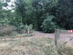 IMG_3636.JPG