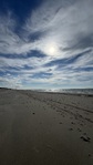 IMG_4650.jpeg