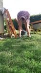 20220518_172110.jpg
