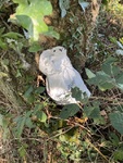 IMG_9651.jpeg