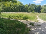 IMG_20220601_144133.jpg