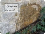 LemystreduMardi.jpg
