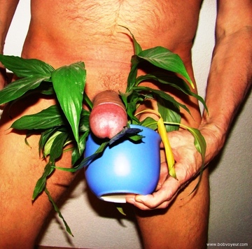 mon sexe en folie