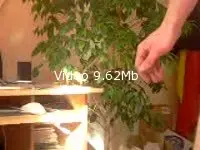 1ére