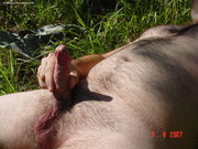 Photo amateur