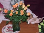 Photo amateur
