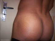 metis coquin