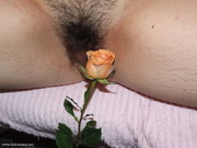 Photo amateur