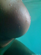 Photo amateur