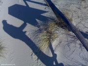 Photo amateur