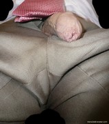 Photo amateur