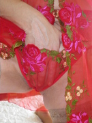 Photo amateur