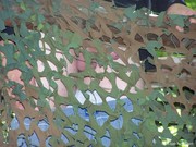 Photo amateur