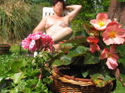 Photo amateur