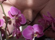 Photo amateur