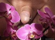 fleurs pour dames