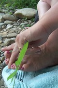 Photo amateur