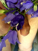 Photo amateur