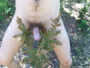 Photo amateur