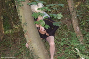 foret