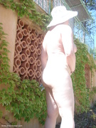 Photo amateur