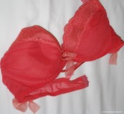 Photo amateur