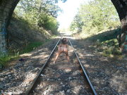 Photo amateur