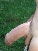 Photo amateur