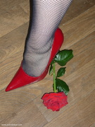 Photo amateur
